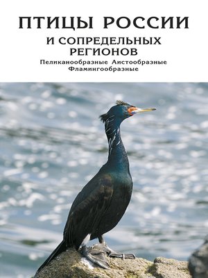 cover image of Птицы России и сопредельных регионов. Пеликанообразные, Аистообразные, Фламингообразные